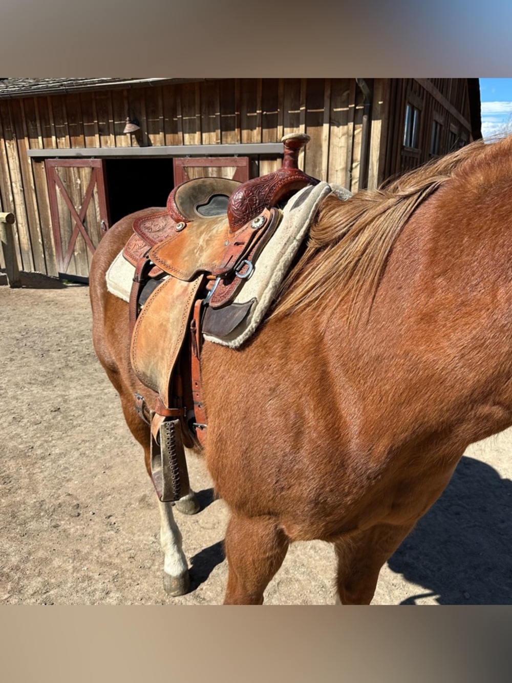 Corriente 15" Ranch Cutter Western Saddle